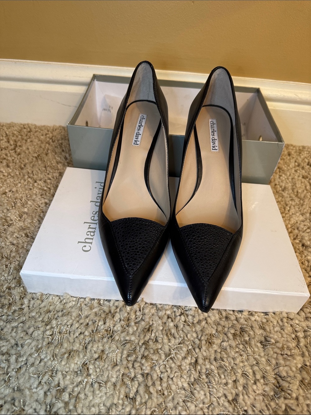 Charles David Black Pointed-Toe Stiletto Pumps